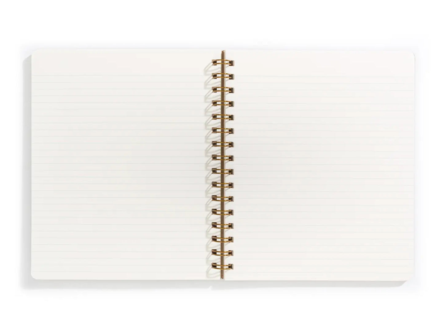 Standard Notebook | Pool, Dot Grid