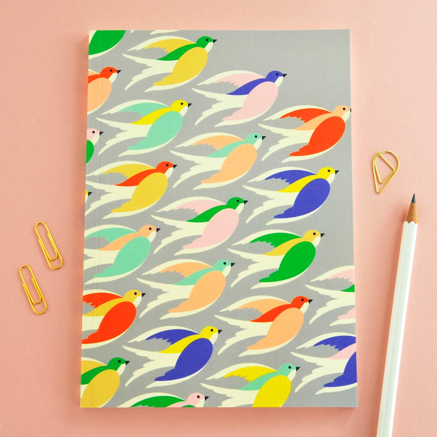 Birds In Flight Notebook | Blank