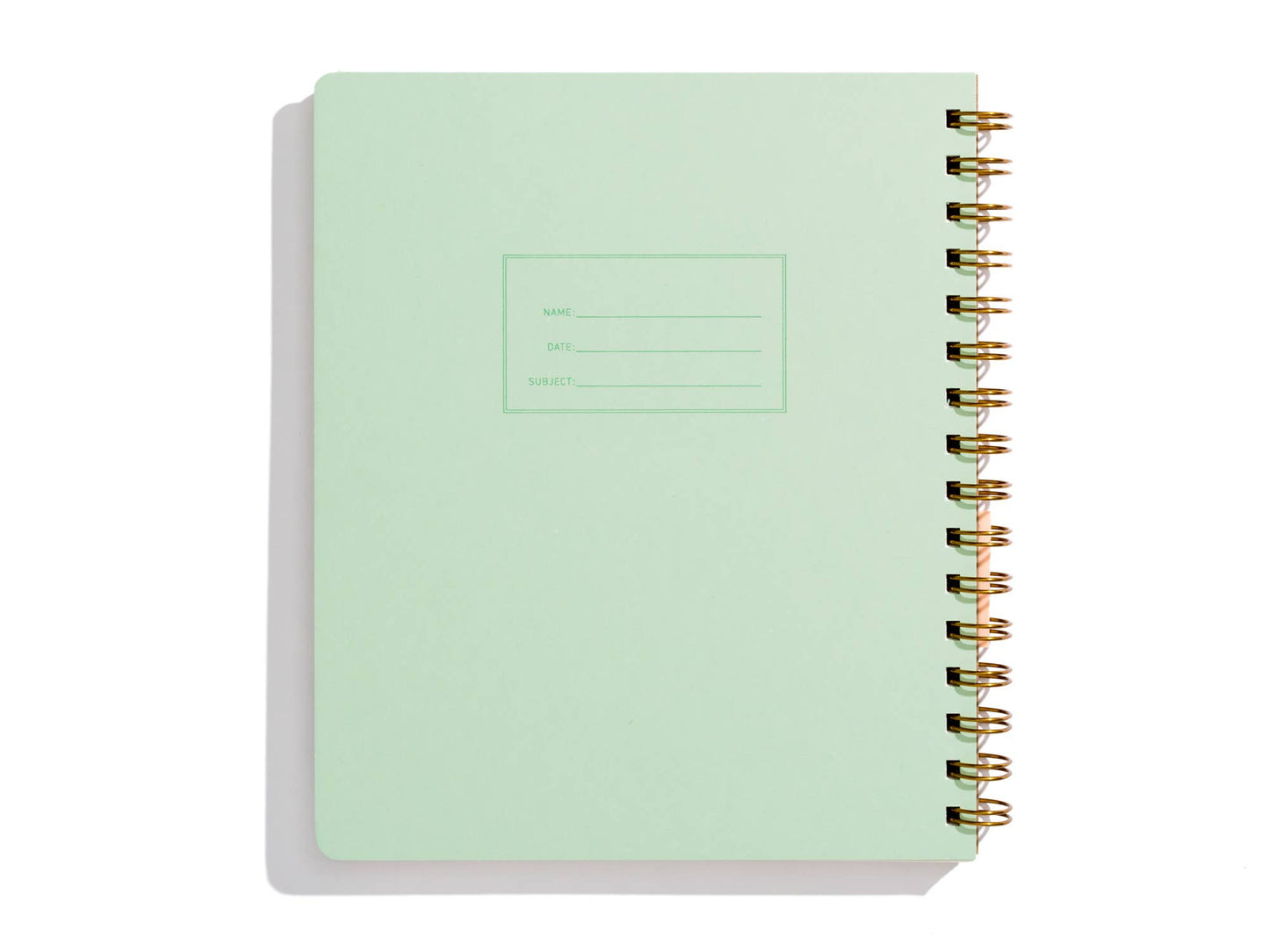 Lefty Standard Notebook | Mint, Lined